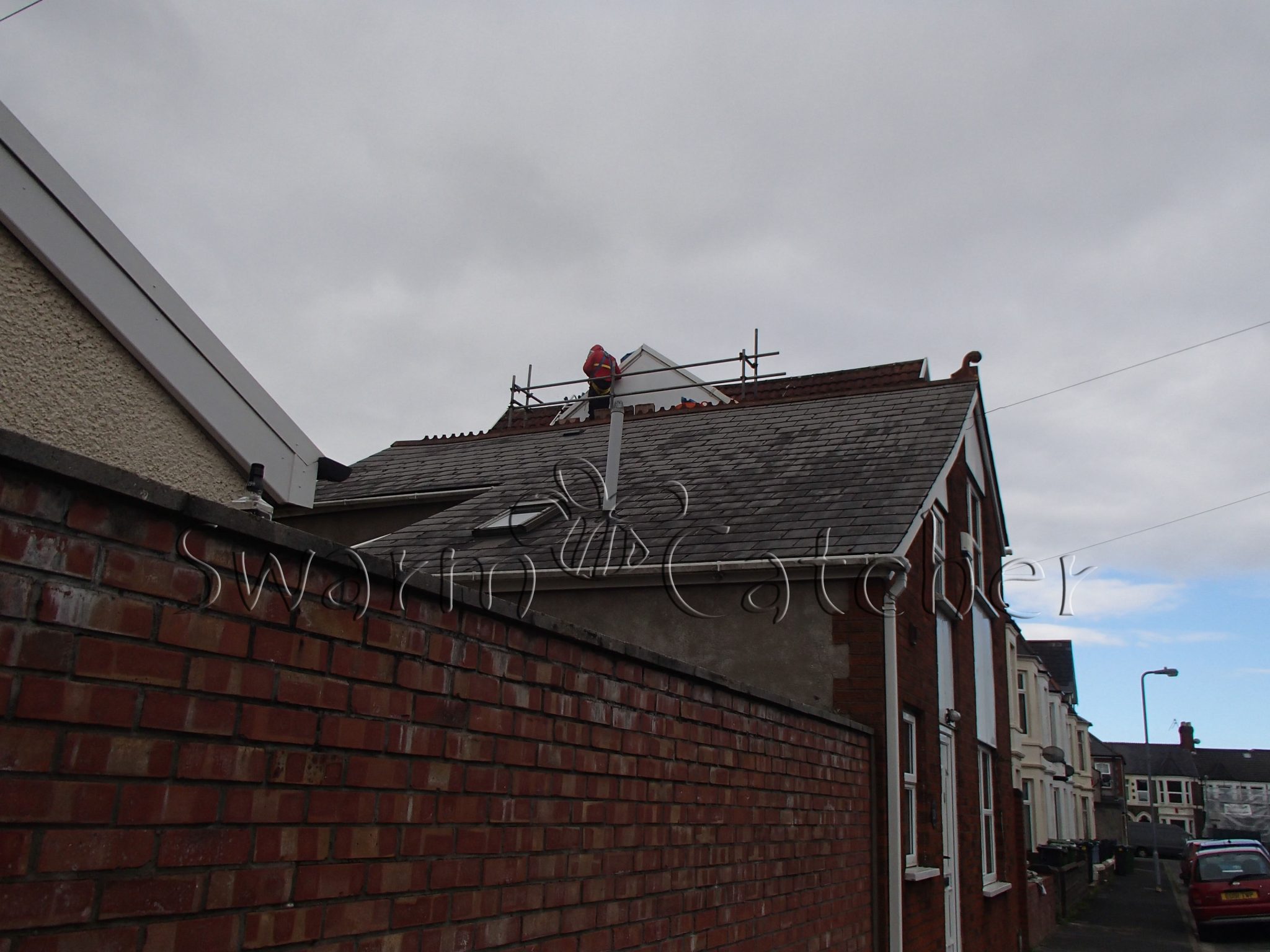Live honey bee removal from roof space -Canton, Cardiff - bee nest removed by SwarmCatcher