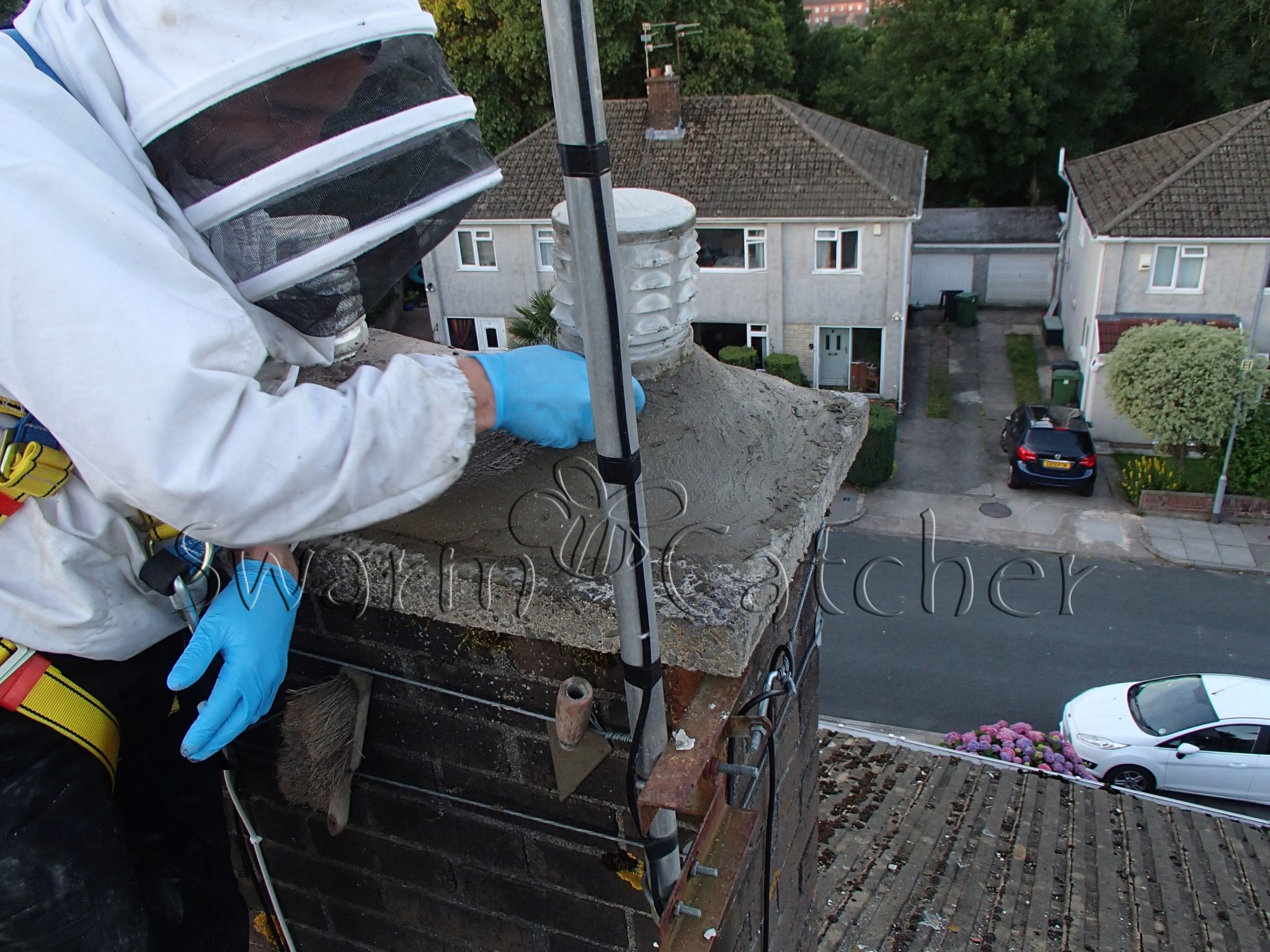 Honey-bee-chimney-cutout-Radyr-redoing the flaunching post removal