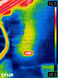 Honey bees in attic - what you need to know 2 Thermal image for a honey bee cutout inside attic - Ferndale, South Wales - safely removed by honey bee removal specialists SwarmCatcher