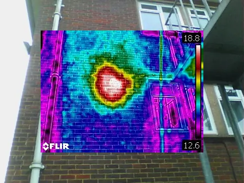 Honey Bee Surveys 1 Honey bee removal survey - thermal image of a honey bee colony in a brick cavity wall of an accommodation block - Bicester, Oxfordshire - Lyndhurst, New Forest, Hampshire - removed by honey bee removal & relocation specialists SwarmCatcher