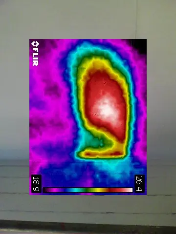 Honey Bee Surveys 14 Honey bee removal survey - thermal image of a honey bee colony located between floor & ceiling - Monmouth, South Wales - removed by honey bee removal & relocation specialists SwarmCatcher