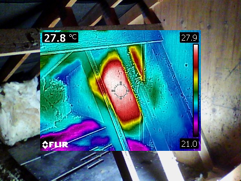 Honey bee removal survey - thermal image of a honey bee colony in a gable end wall - Clevedon, Bristol - removed by honey bee removal & relocation specialists SwarmCatcher
