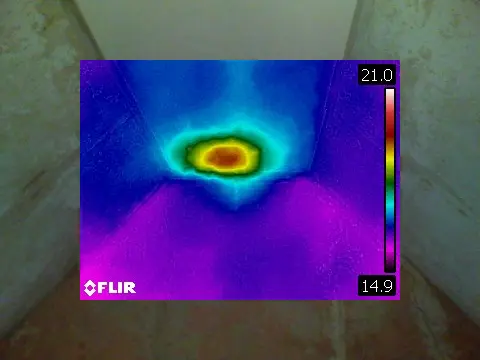 Honey Bee Surveys 19 Honey bee removal survey - thermal image of a honey bee colony in a dormer roof- Royal Wootton Bassett, Wiltshire - removed by honey bee removal & relocation specialists SwarmCatcher