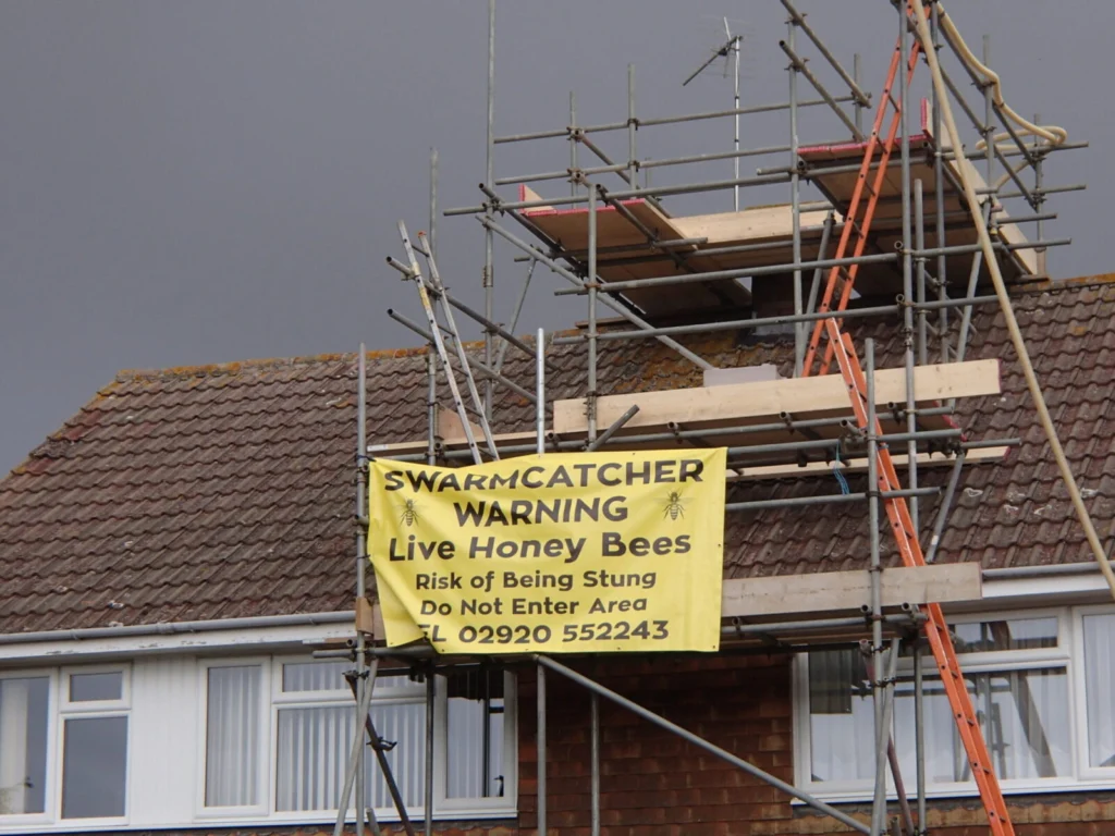 Live Honey Bee Removal Specialists - Health & Safety at work - Honey bee warning