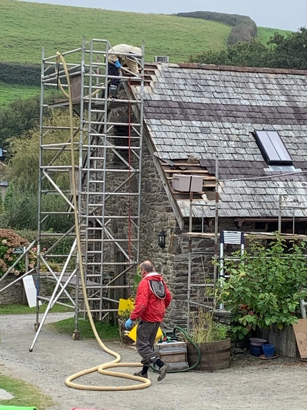 2 x Honey bee removal from converted barn roof Braunton North Devon